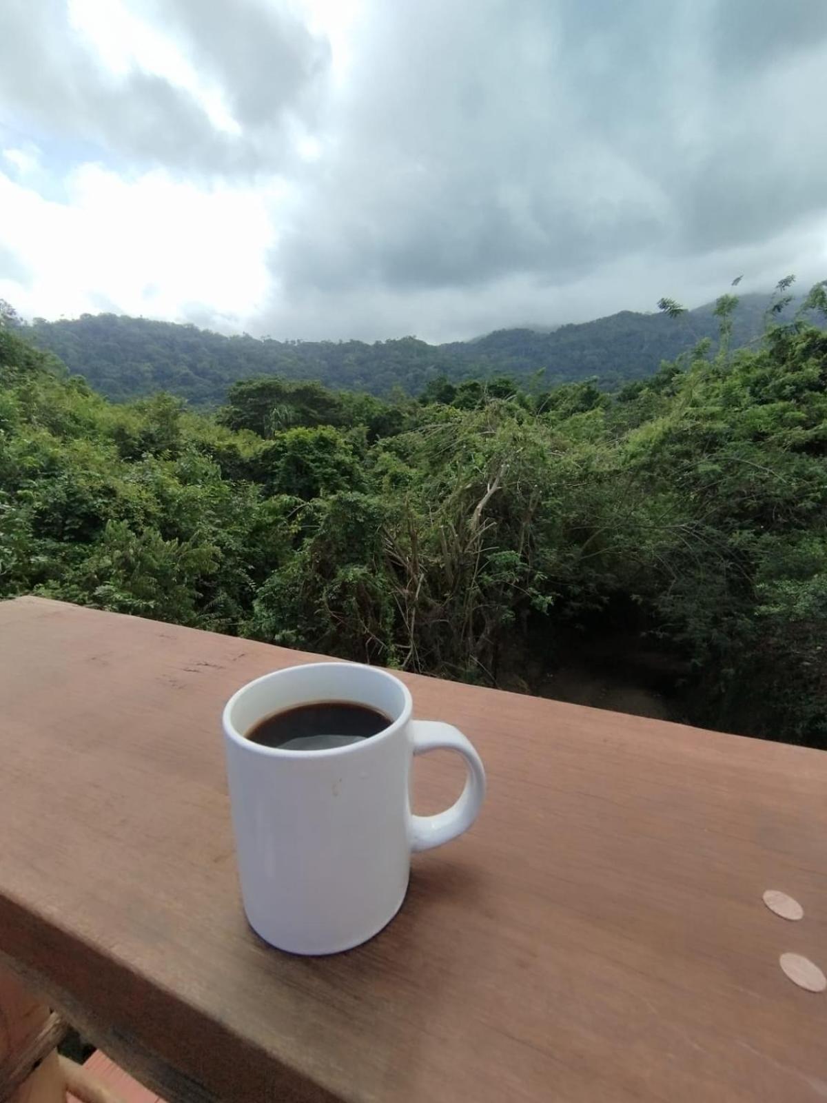 Selva Maria Tayrona'S Hostel Santa Marta  Eksteriør billede